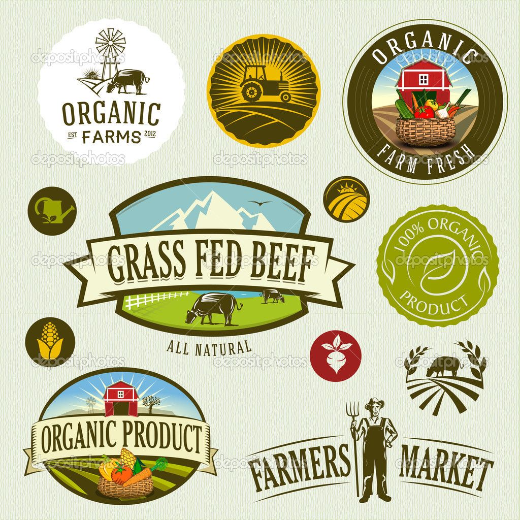 1024x1024 Organic Farm Stock Vector