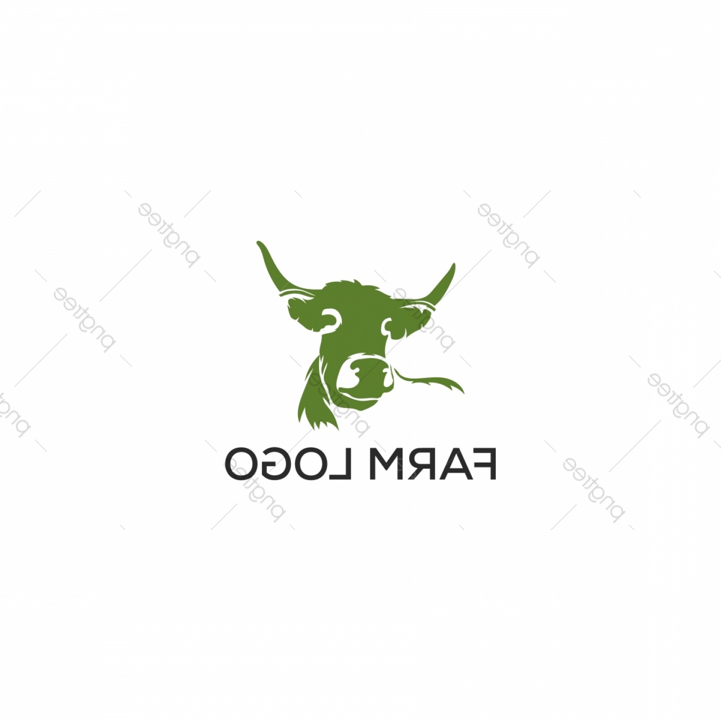 1440x1440 Angus F Cow Farm Logo Graphic Design Template Vector Illustration