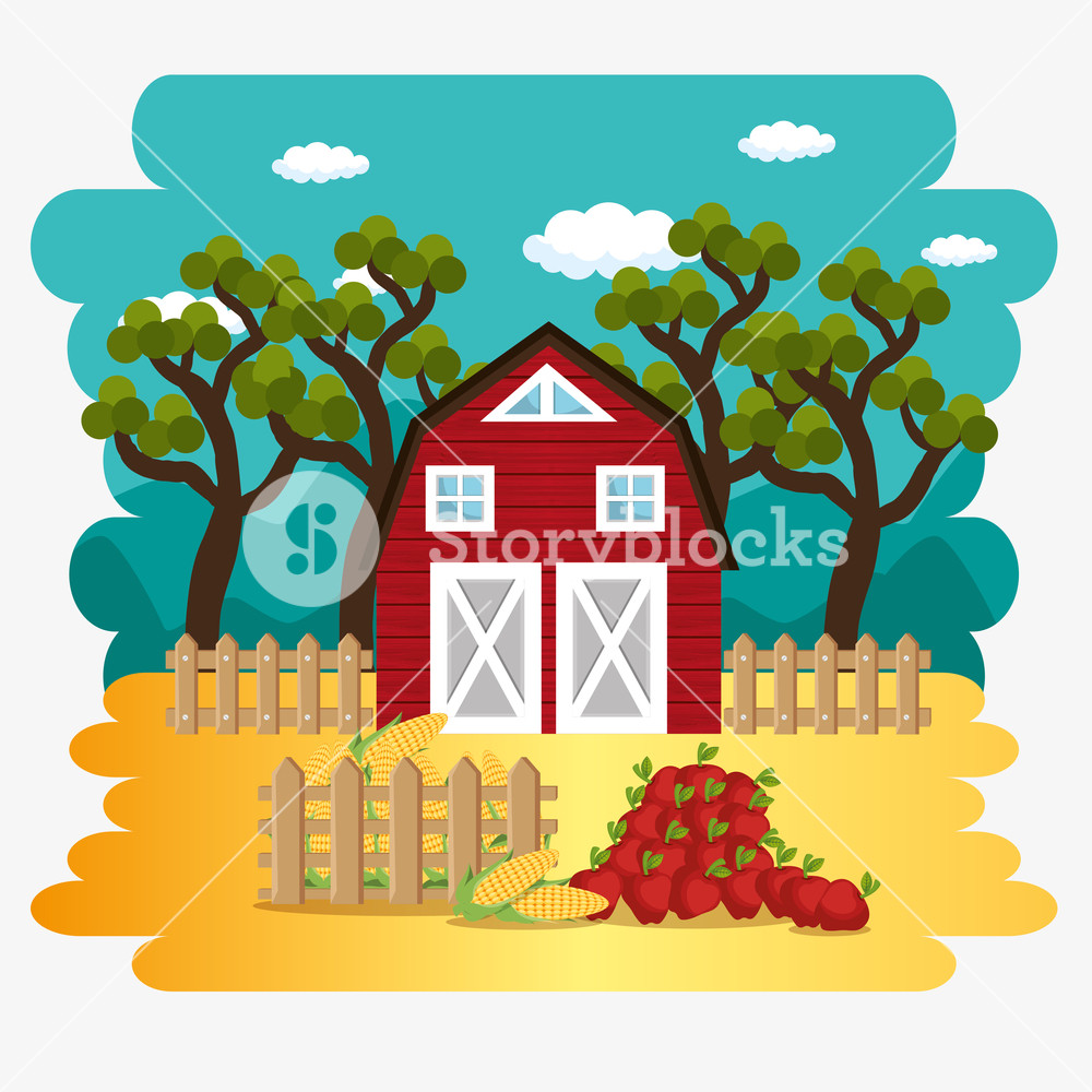 1000x1000 Farmhouse In The Farm Scene Vector Illustration Design Royalty