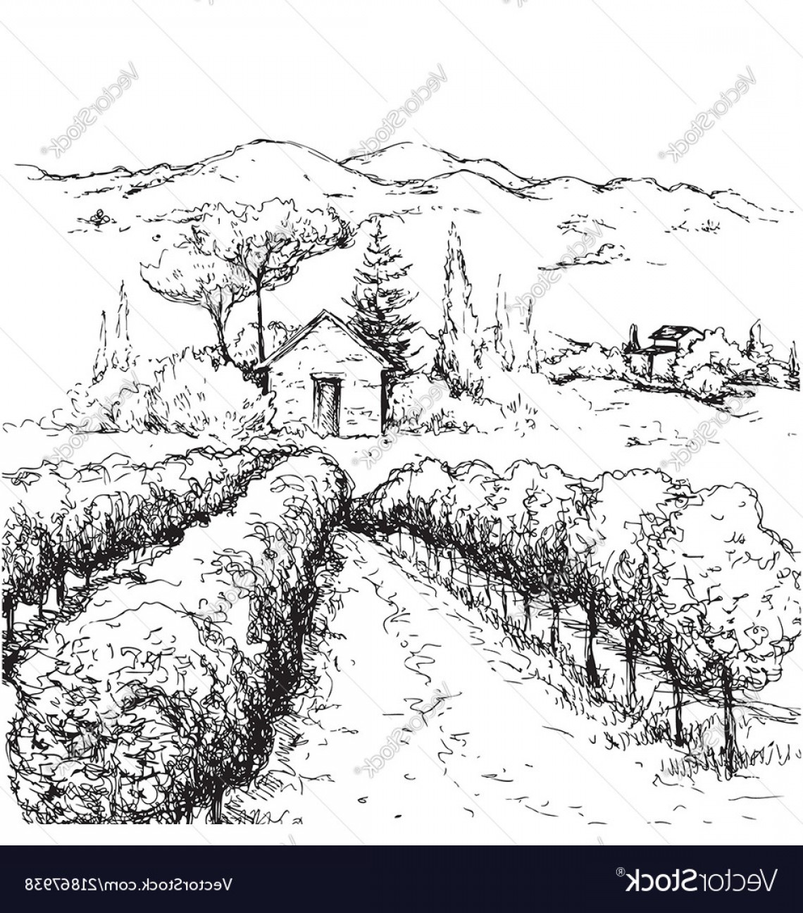 1140x1296 Black White Drawings Of Wildlife Scenes Vector Hoodamath