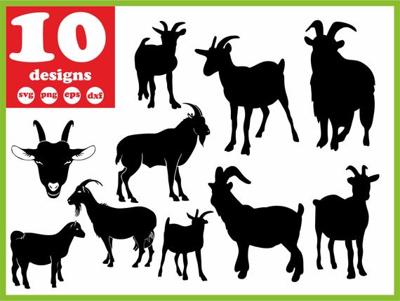 Goat Farm Digital Head Download Silhouette Vector Etsy 570x430 Goat Farm Digital Head Download Silhouette Vector Etsy