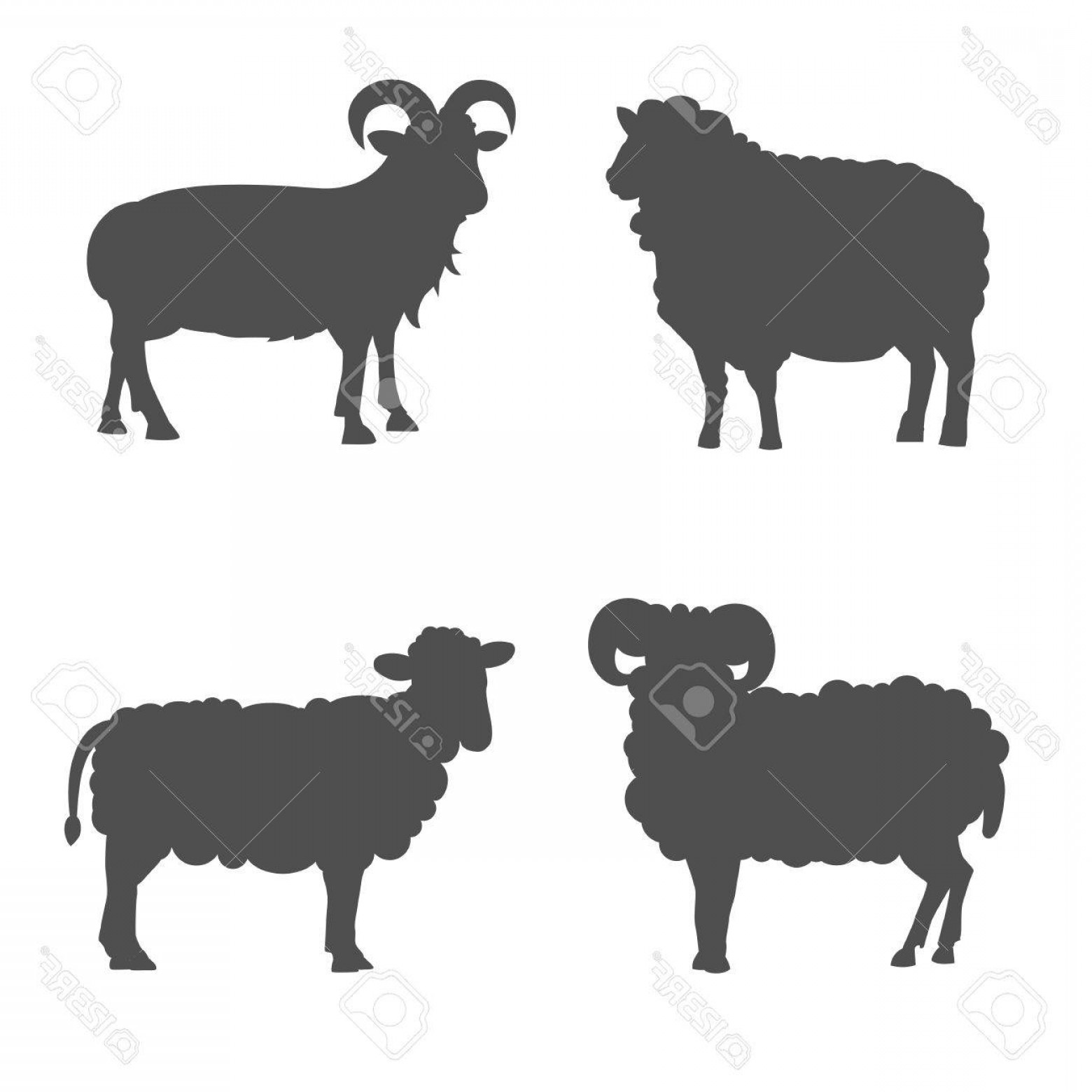 Photostock Vector Vector Set Cute Sheep And Ram Isolated Retro 1560x1560 Photostock Vector Vector Set Cute Sheep And Ram Isolated Retro