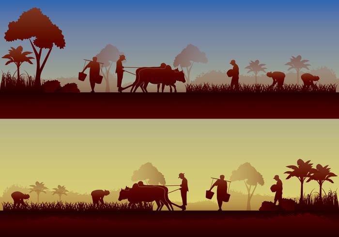 Asian Farmer Silhouette 700x490 Asian Farmer Silhouette