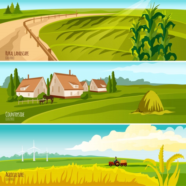 626x626 Farm Vectors, Photos And Free Download