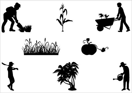 501x352 Farn Clipart Vector Graphics For Free Download And Use Images