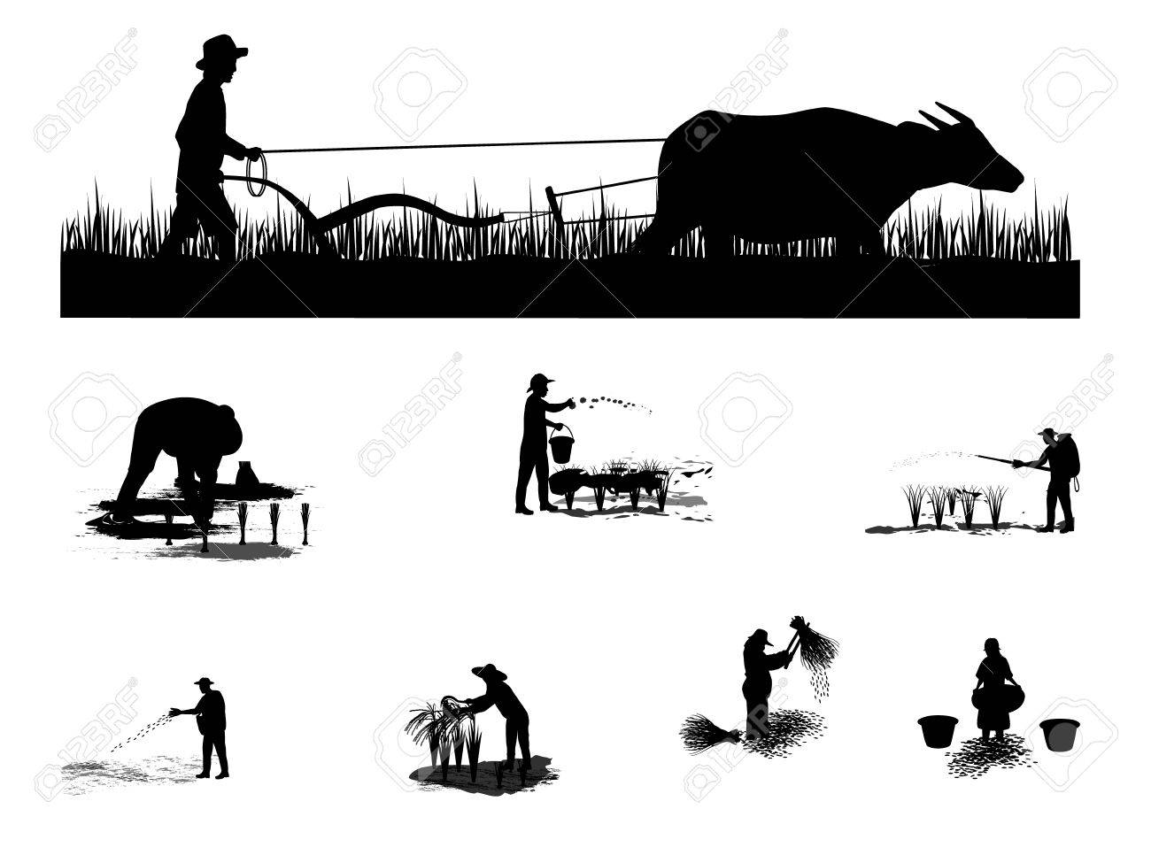 1300x975 Huge Collection Of 'silhouette Farmer' Download More Than