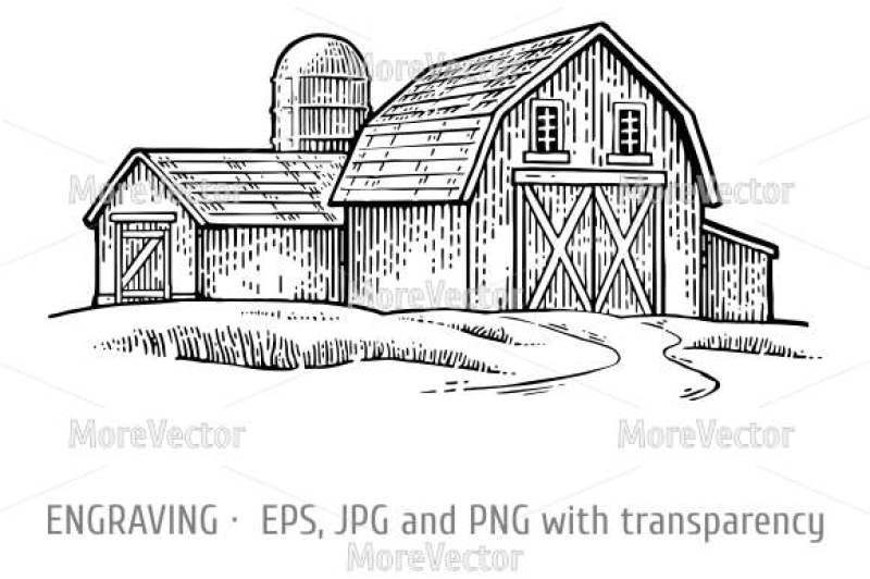 800x532 Organic Farm Vector Engraving Vintage Black Illustration