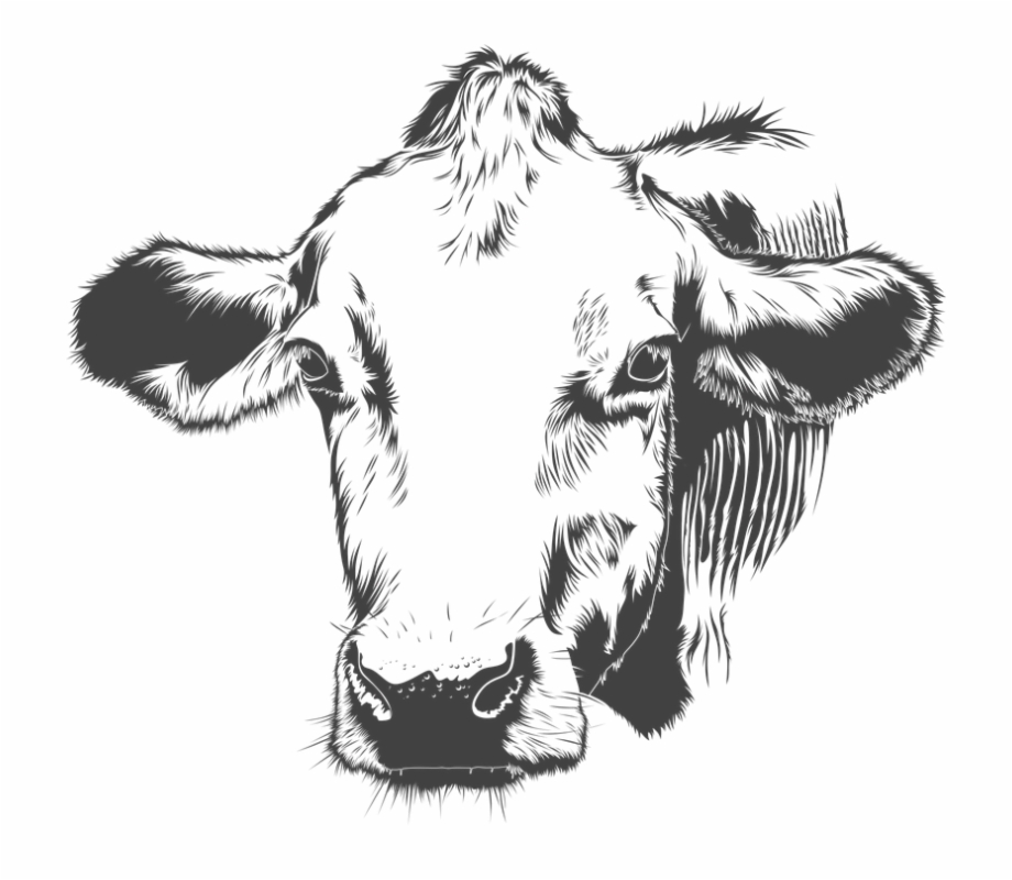 920x800 Cow, Cattle, Animal, Farm, Vector