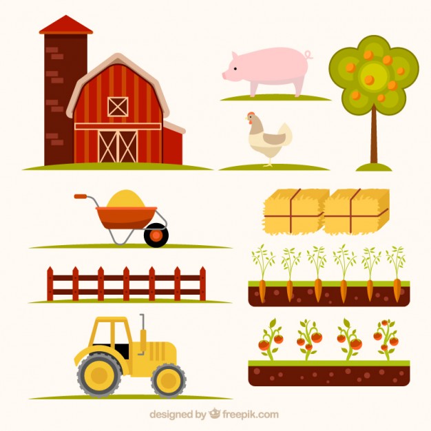 626x626 Farm Vectors, Photos And Free Download