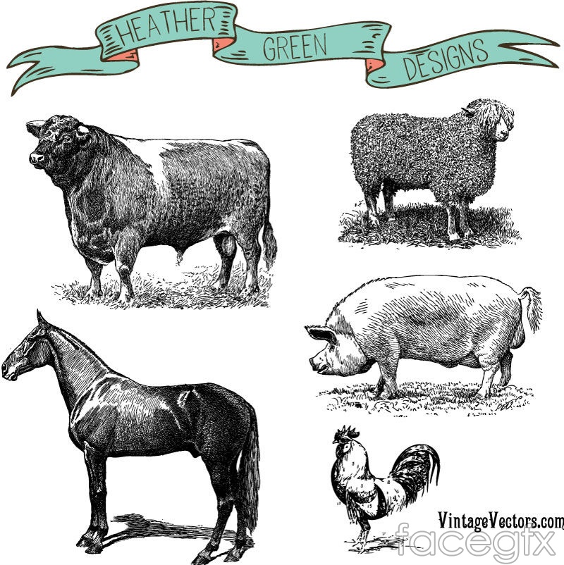 800x802 Hand Painted Animal Farm Vector Over Millions Vectors, Stock