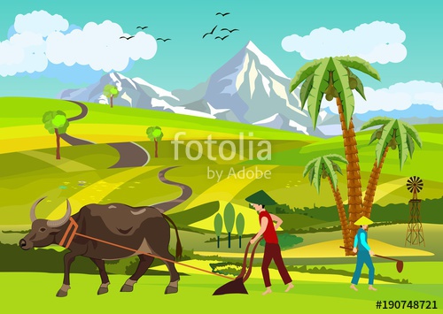 500x355 Chinese Asian Farm Vector Landscape, Vector Countryside Asian
