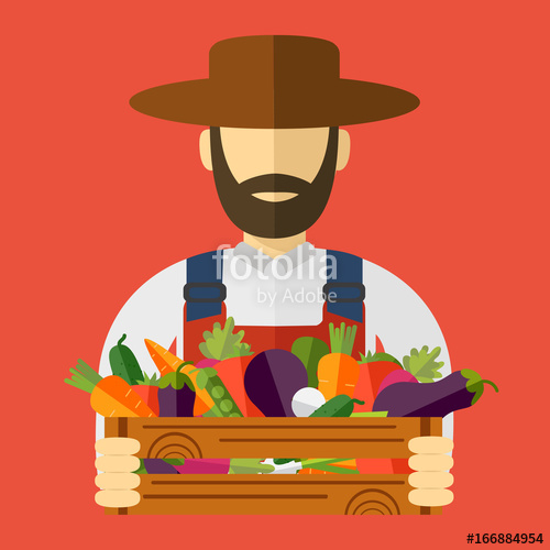 500x500 Farmer Hat, Picked Vegetables Vector Illustration, Icon Stock