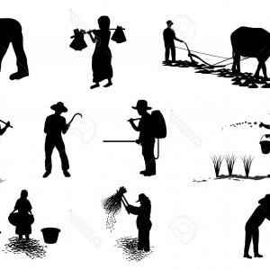 300x300 Hd Farmer With Straw Silhouette Photos Cqrecords