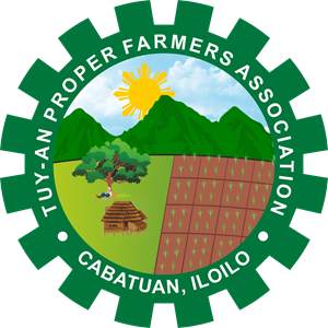 300x300 Tuy An Proper Farmers Association Logo Vector