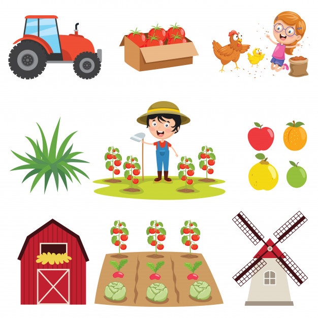 626x626 Farmhouse Vector Vectors, Photos And Free Download