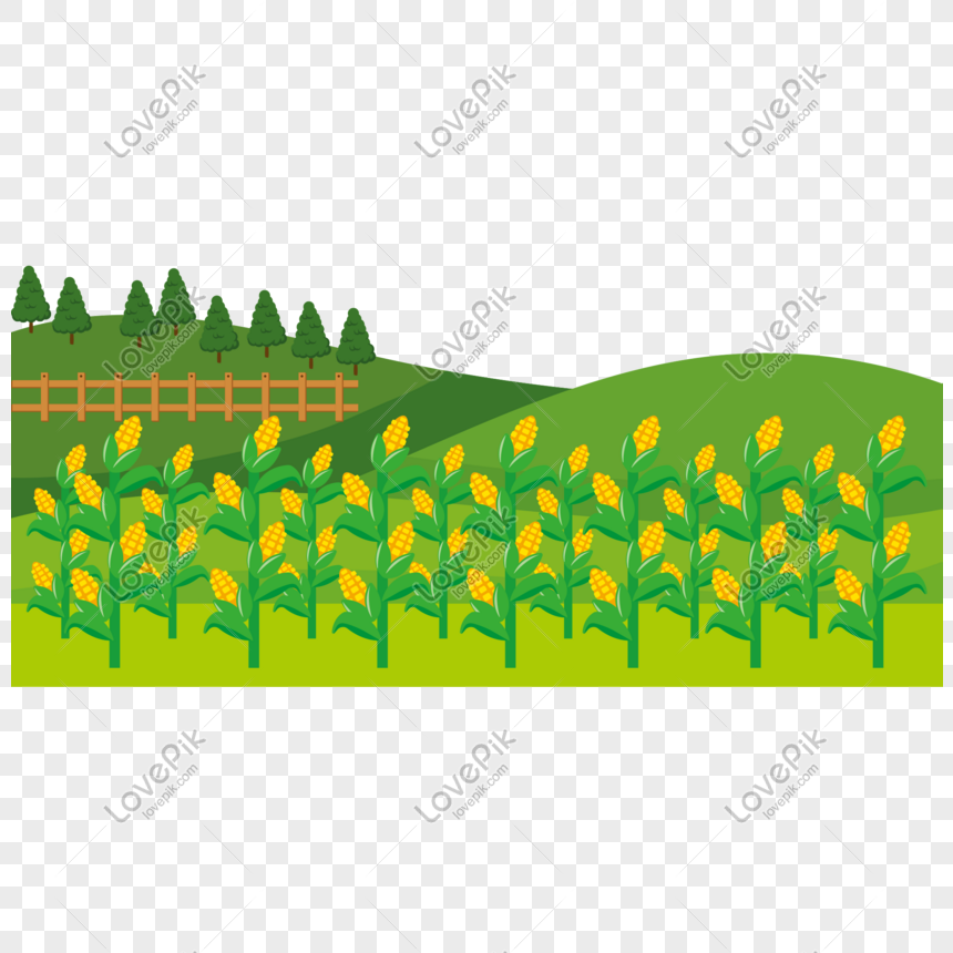 860x860 Cartoon Vector Cartoon Cornfield Farmland Png Image Picture Free