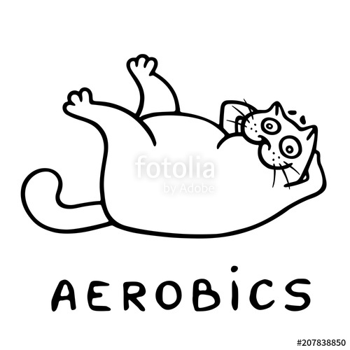 500x500 Aerobics With Cheerful Fat Cat Vector Illustration Stock Image
