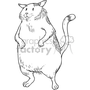 300x300 Fat Cat Character Vector Illustration Clipart Royalty Free Gif