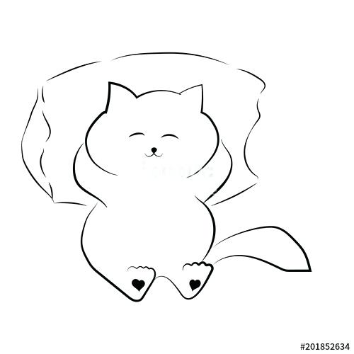 500x500 How To Draw A Fat Cat Step
