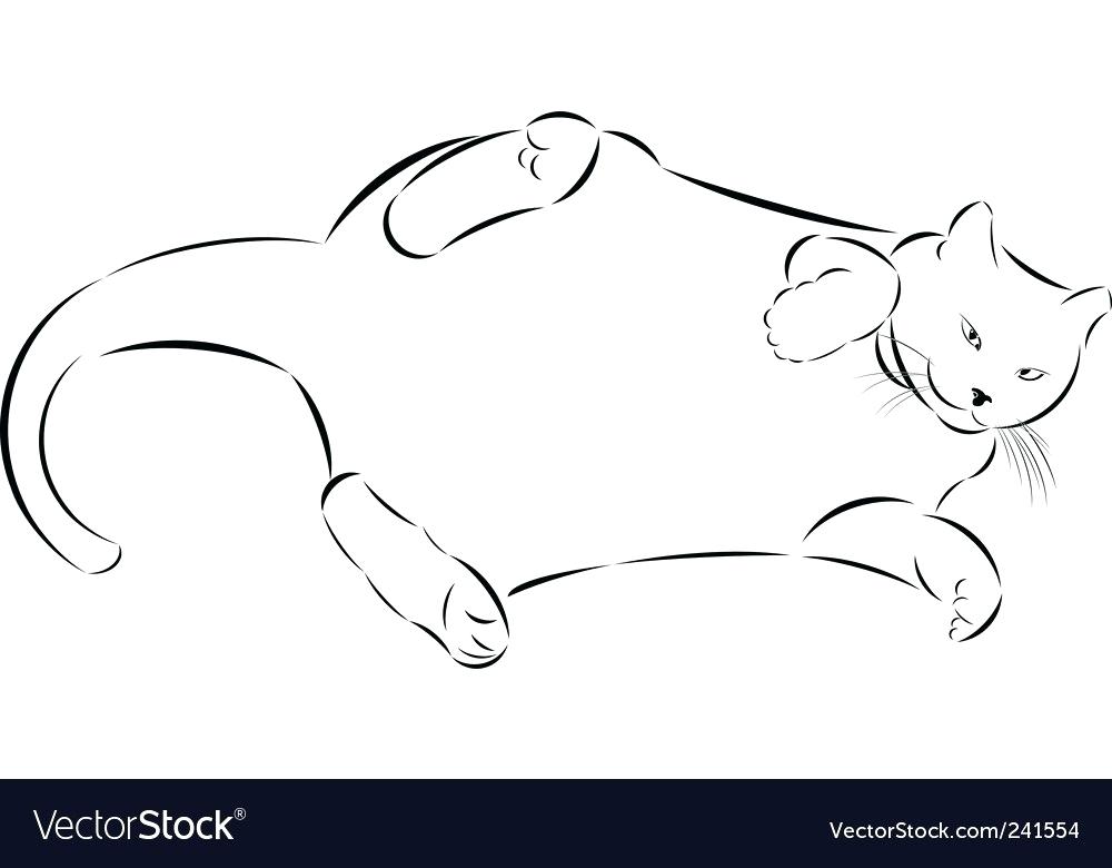 1000x780 How To Draw A Fat Cat Step