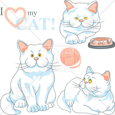 400x400 Cute White Fat Cat