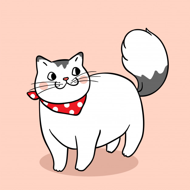 626x626 Draw Character Cute Fat Cat Vector Premium Download