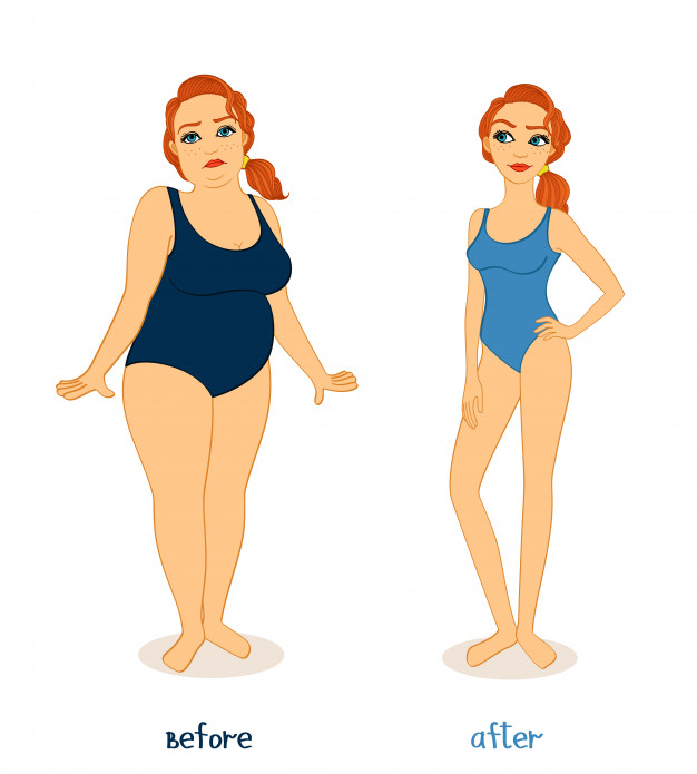 Fat And Slim Woman Figures Vector Free Download 626x695 Fat And Slim Woman Figures Vector Free Download