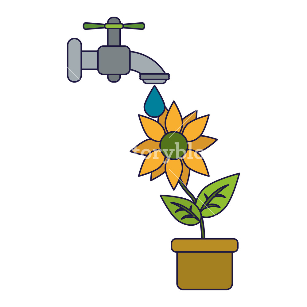 1000x1000 Sunflower Under Water Faucet Vector Illustration Graphic Design