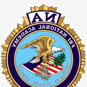 300x300 Fbi Agent Rubber Stamps Vector Catchsplace