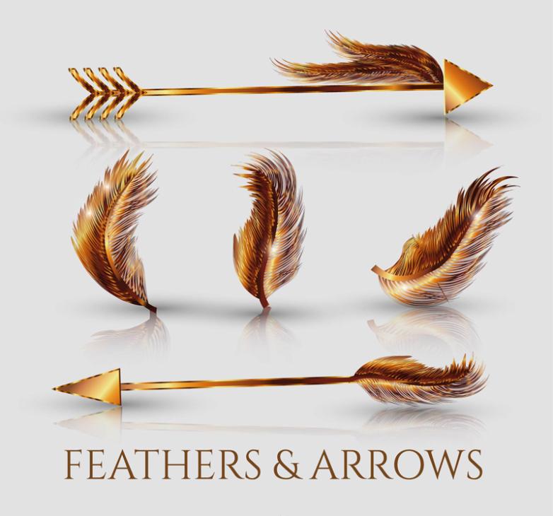782x730 Five Golden Feathers And Arrow Vector Free Vector Graphic Download