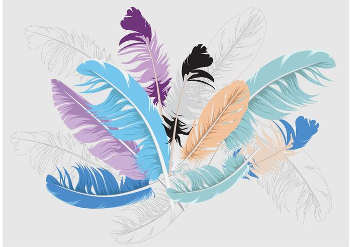 700x490 Feather Isolated Vector Background