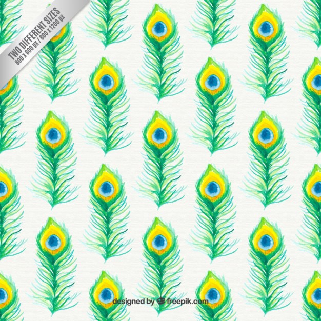 626x626 Peacock Feathers Background Vector Premium Download