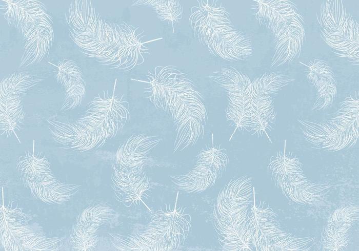 700x490 White Feathers Background Vector