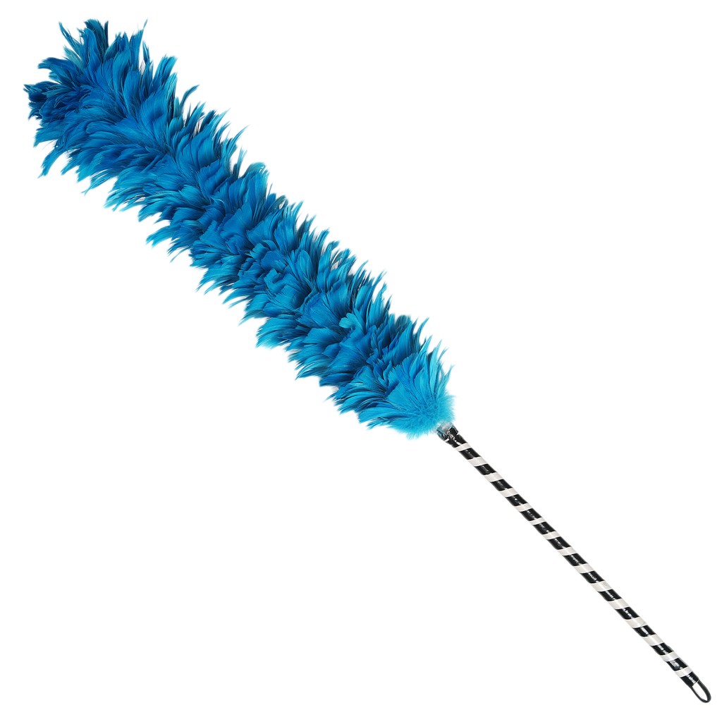 Feather Duster Clipart Free Cliparts Download Images 1024x1024 Feather Duster Clipart Free Cliparts Download Images
