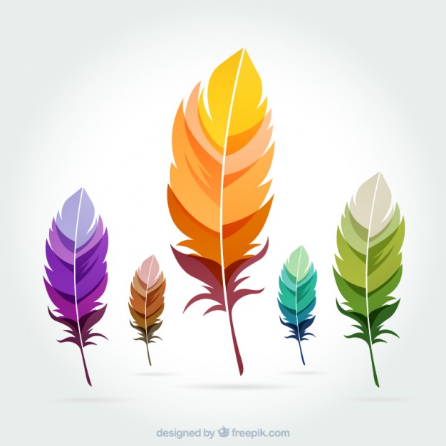 626x626 Feather Vectors, Photos And Free Download