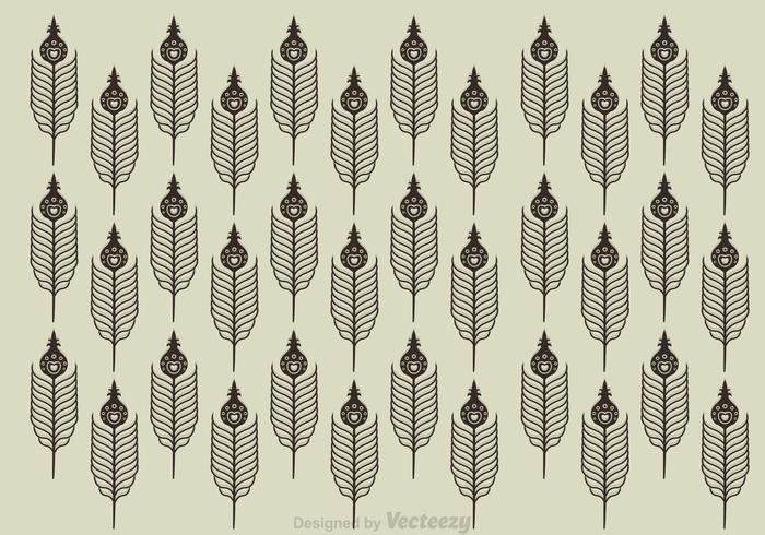 Peacock Feather Pattern 700x490 Peacock Feather Pattern