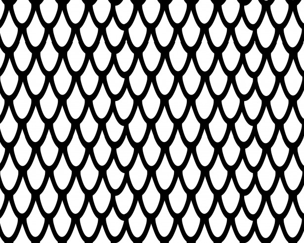 Small Feathers Pattern Free Stock Photo 615x491 Small Feathers Pattern Free Stock Photo