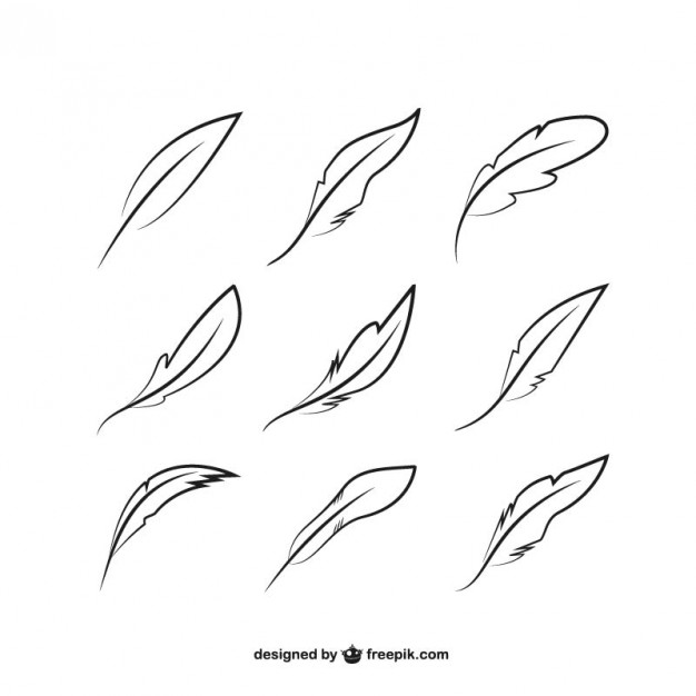 Feather Pen Vectors, Photos And Free Download 626x626 Feather Pen Vectors, Photos And Free Download