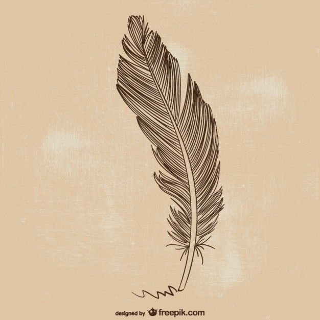 626x626 Quill Vectors, Photos And Free Download