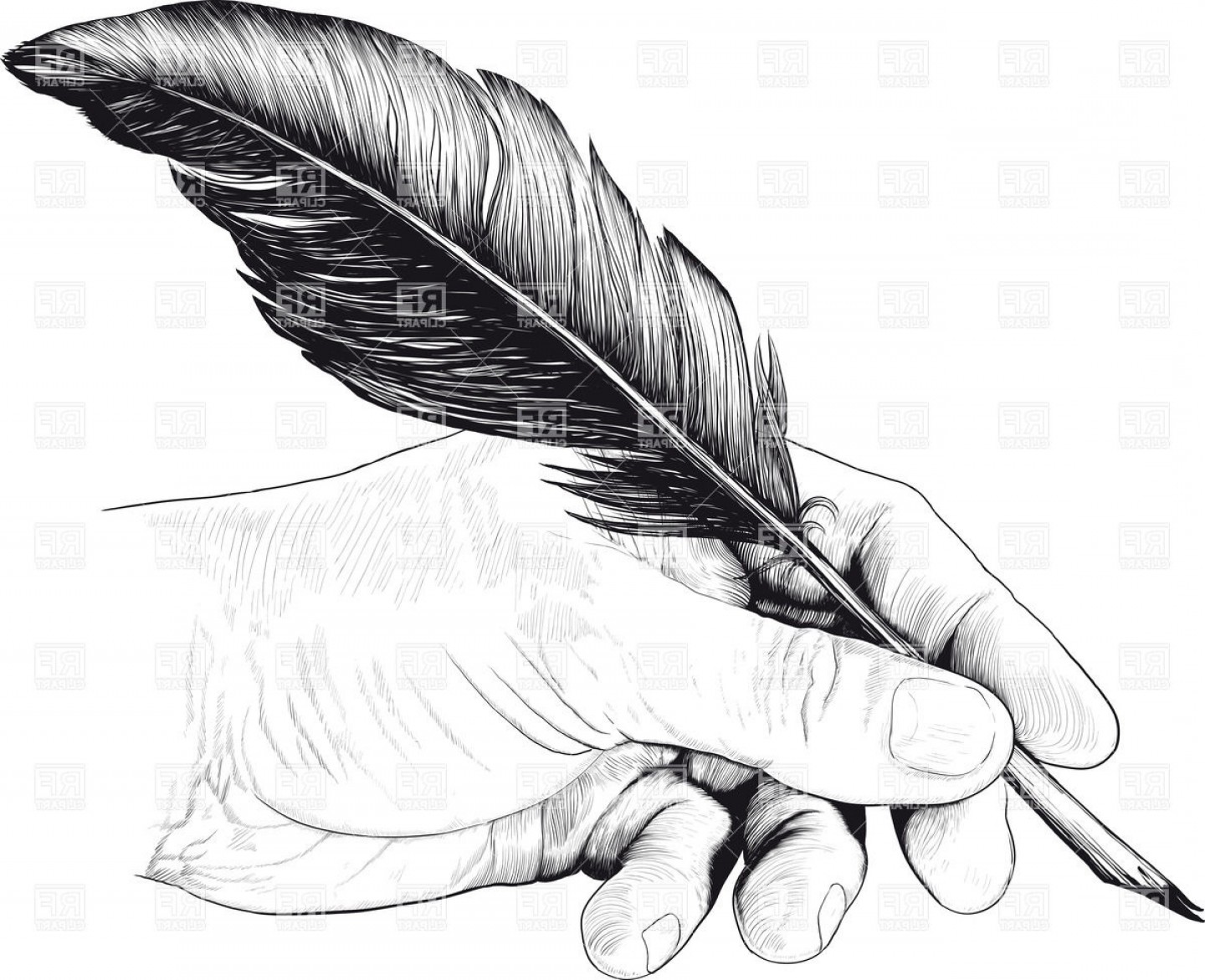 Feather Pen Vector at Vectorified.com | Collection of Feather Pen ...