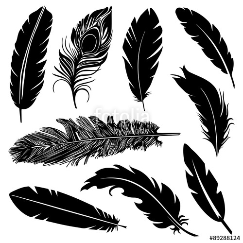 Feather Silhouette Vector at Vectorified.com | Collection of Feather ...