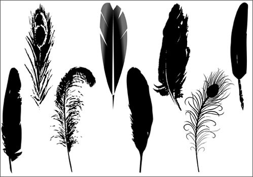 Feather Silhouette Vector Silhouette Feather Vector 499x350 Feather Silhouette Vector Silhouette Feather Vector