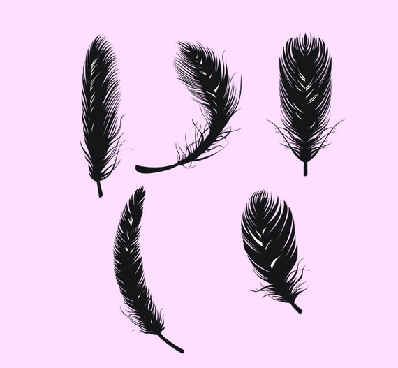 Feather Silhouette Digital Clipart Vector Png Set Clip Art Etsy 570x527 Feather Silhouette Digital Clipart Vector Png Set Clip Art Etsy