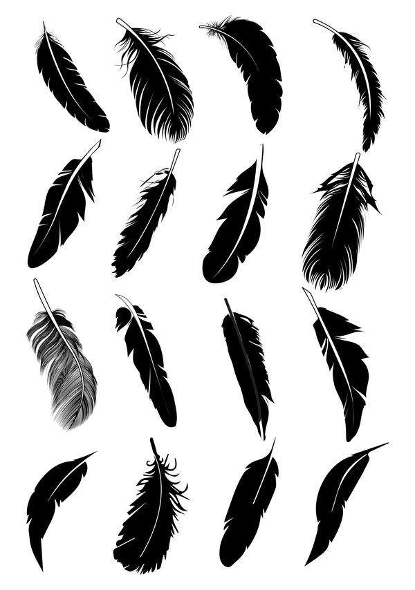Feather Silhouette Vector Set Free Download 600x854 Feather Silhouette Vector Set Free Download