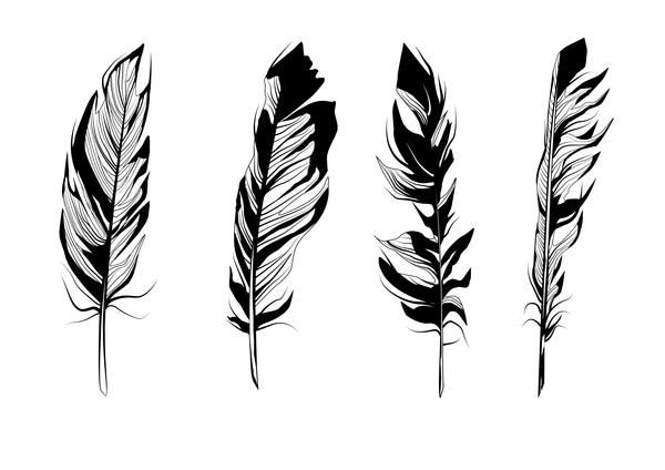 Feather Silhouette Vector Set Free Download 600x424 Feather Silhouette Vector Set Free Download