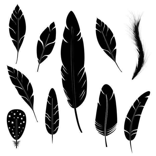 Feather Silhouette Vector Set Free Download 600x600 Feather Silhouette Vector Set Free Download