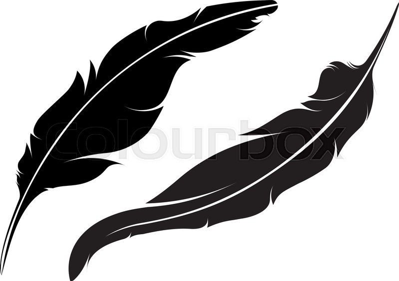 Pair Of Vector Silhouette Of Feathers Stock Vector Colourbox 799x564 Pair Of Vector Silhouette Of Feathers Stock Vector Colourbox