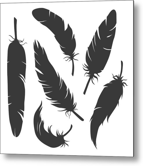 Set Of Vector Elegant Feather Silhouettes Isolated On White 493x572 Set Of Vector Elegant Feather Silhouettes Isolated On White