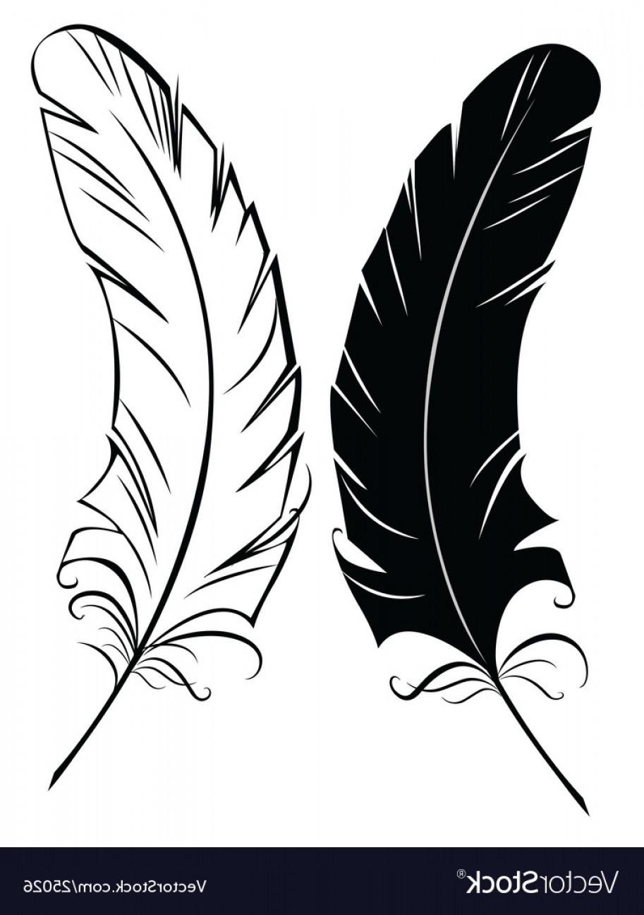 Silhouette Black And White Feather Vector Soidergi 913x1296 Silhouette Black And White Feather Vector Soidergi