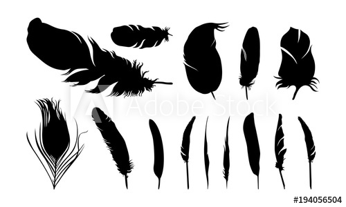 Set Of Various Of Feather Silhouette Vector Illustration 500x300 Set Of Various Of Feather Silhouette Vector Illustration